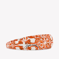 Dolce & Gabbana Baby Girls Accessory In Orange