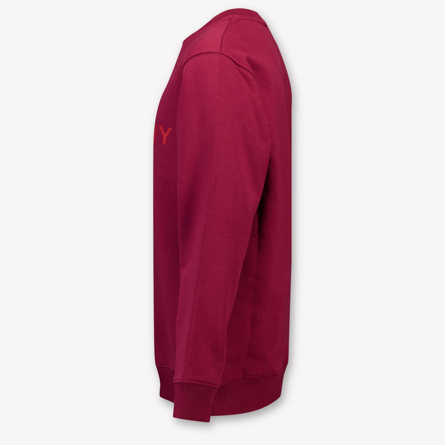 Givenchy Kids Boys Sweater  Bordeaux