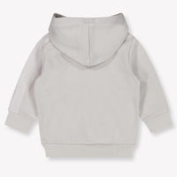 Iceberg Baby Boys Sweater  Beige
