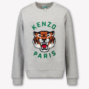 Kenzo kids Kids Boys Sweater in Gray
