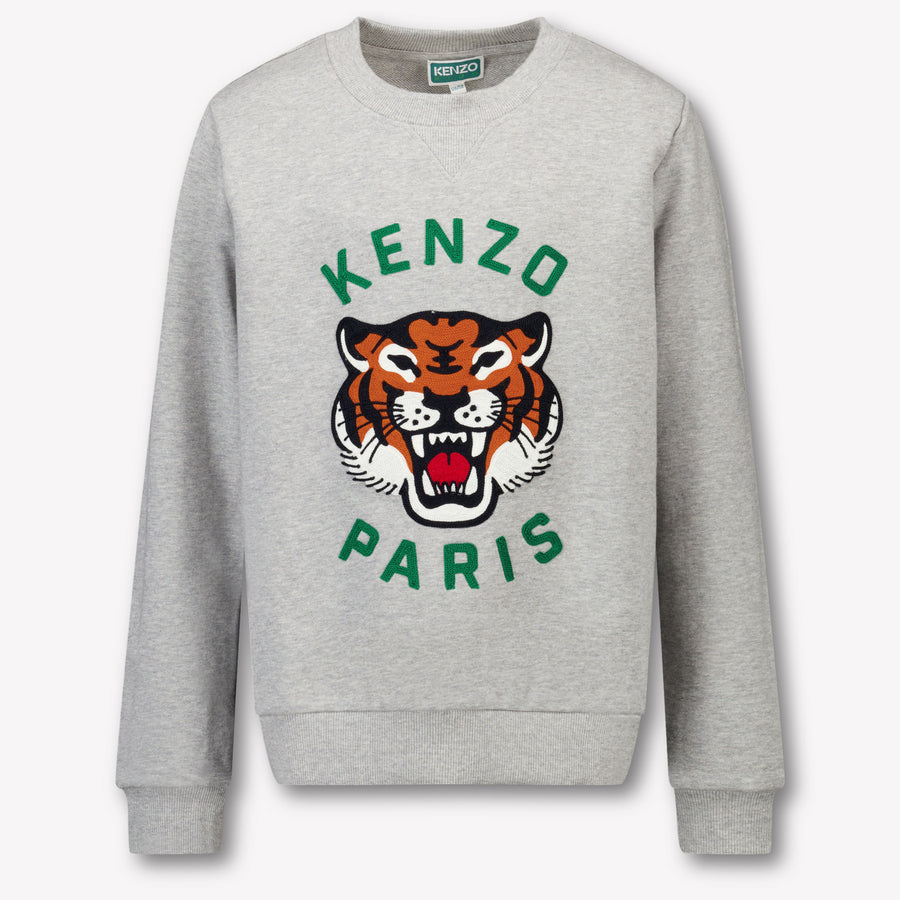 Kenzo kids Kids Boys Sweater in Gray