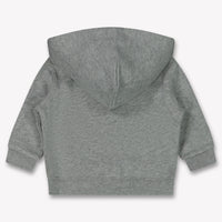 Ralph Lauren Baby Boys Cardigan Light Gray