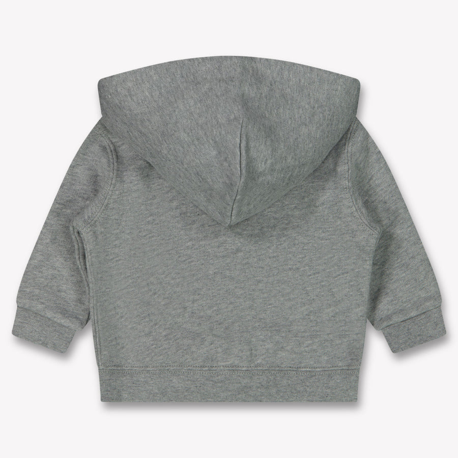 Ralph Lauren Baby Boys Cardigan Light Gray