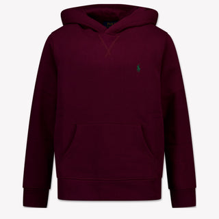 Ralph Lauren Kids Boys Sweater  Bordeaux