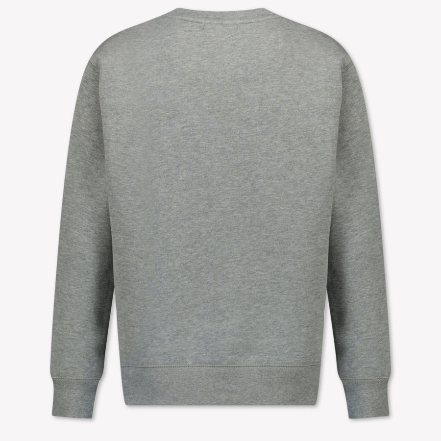 Ralph Lauren Kids Boys Sweater  Light Gray