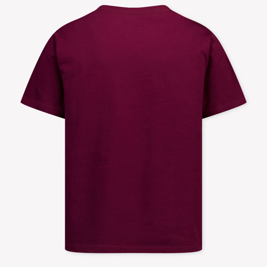 Ralph Lauren Kids Boys T-Shirt In Bordeaux