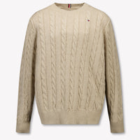 Tommy Hilfiger Kids Boys Sweater  Beige