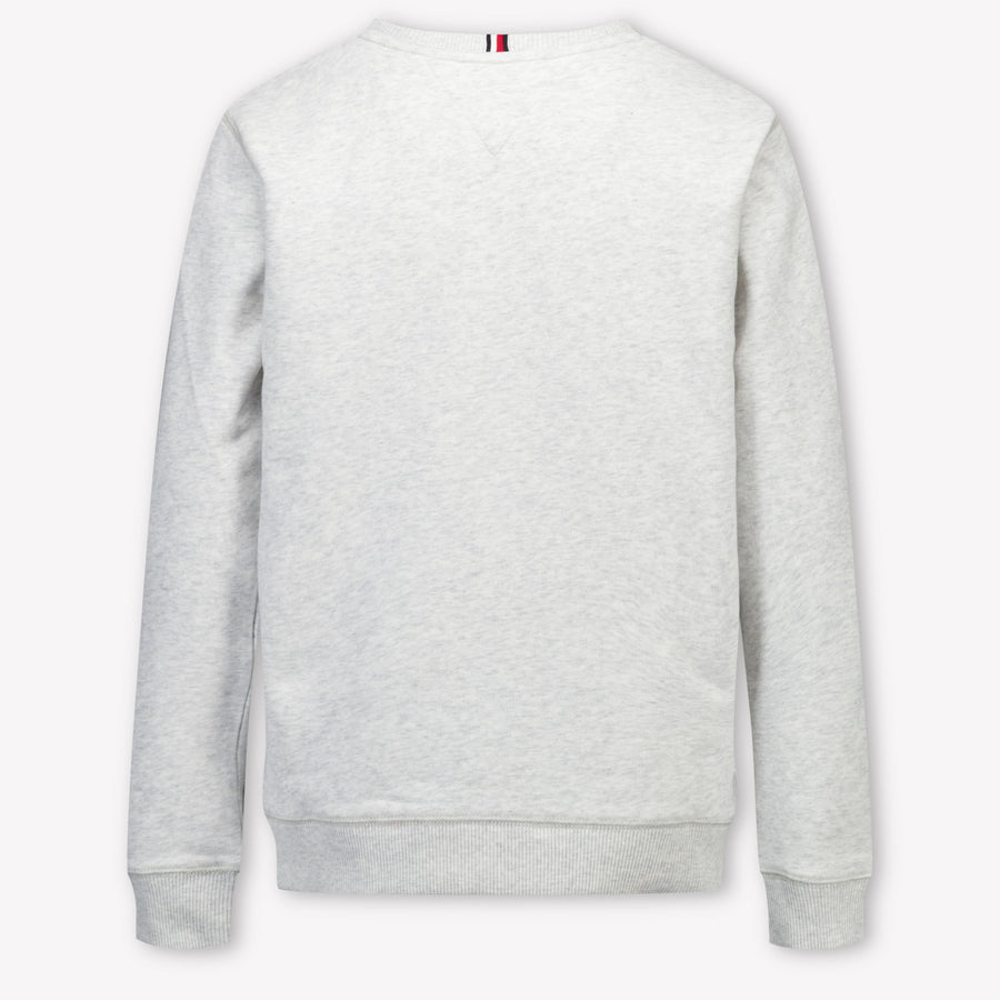 Tommy Hilfiger Kids Boys Sweater  Gray