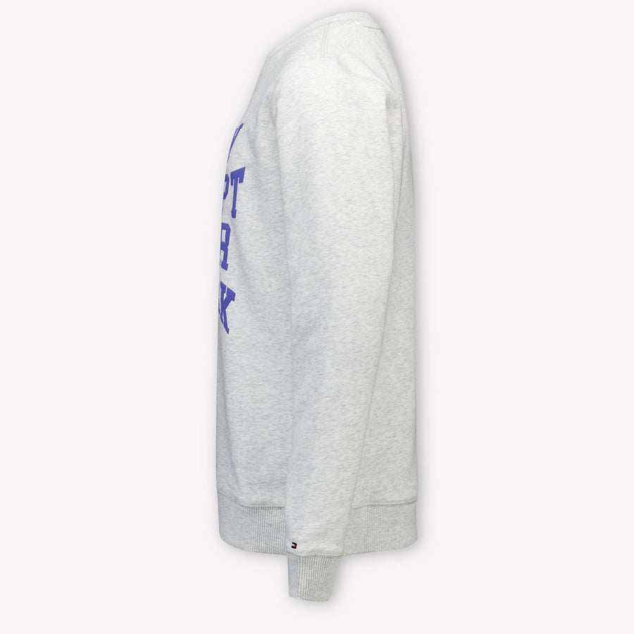 Tommy Hilfiger Kids Boys Sweater  Gray