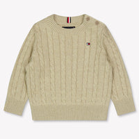 Tommy Hilfiger Baby Boys Sweater  Beige