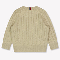 Tommy Hilfiger Baby Boys Sweater  Beige