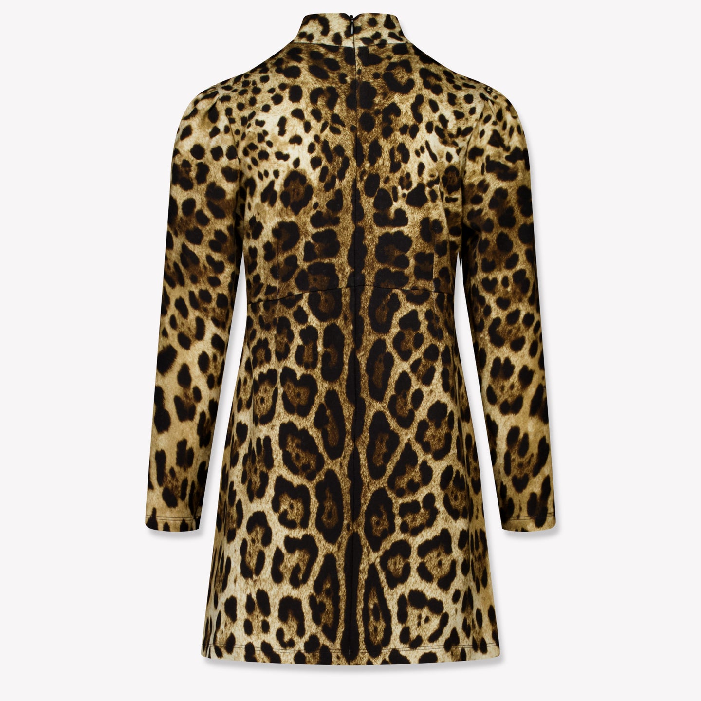 Dolce & Gabbana Kids Girls Dress Brown