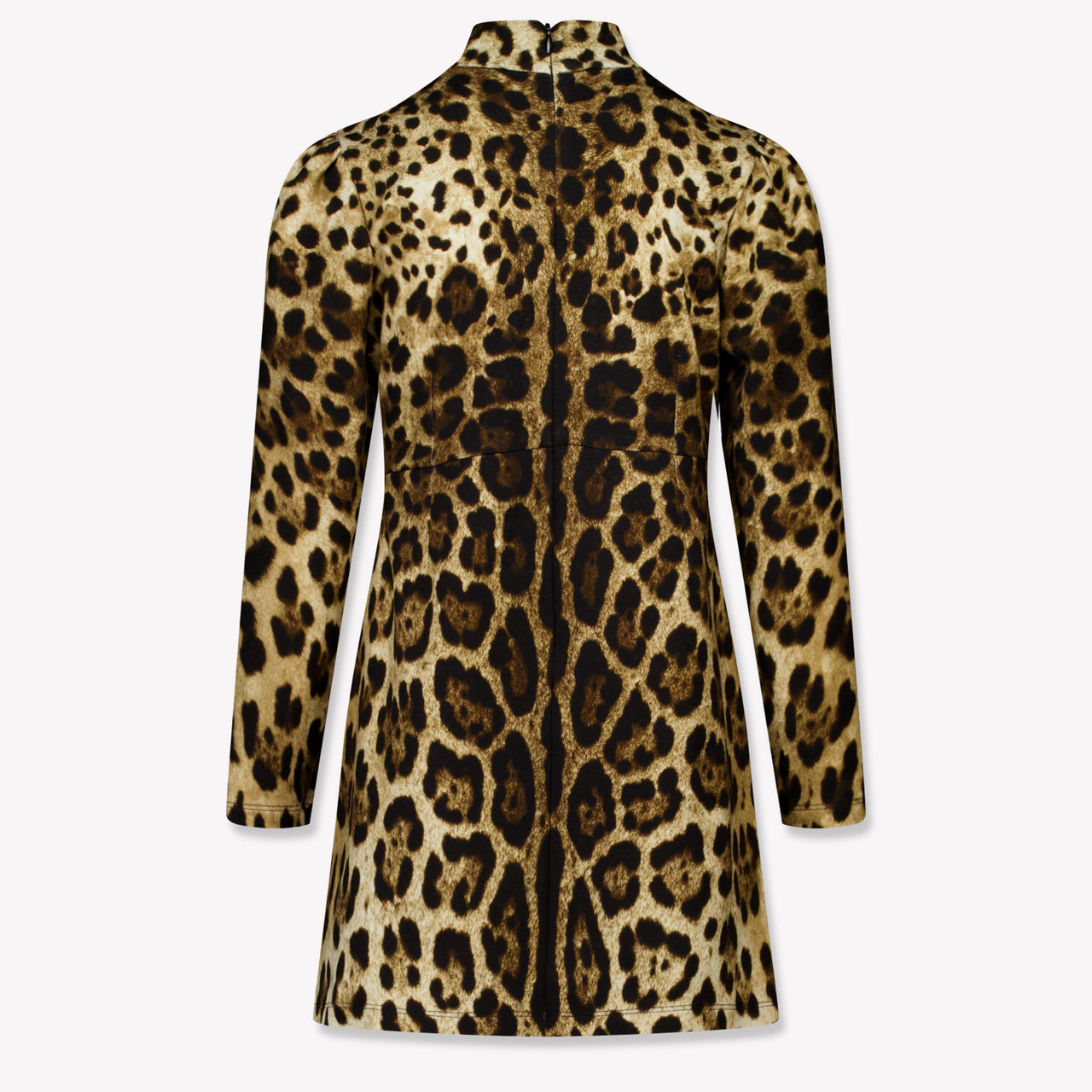 Dolce & Gabbana Kids Girls Dress Brown