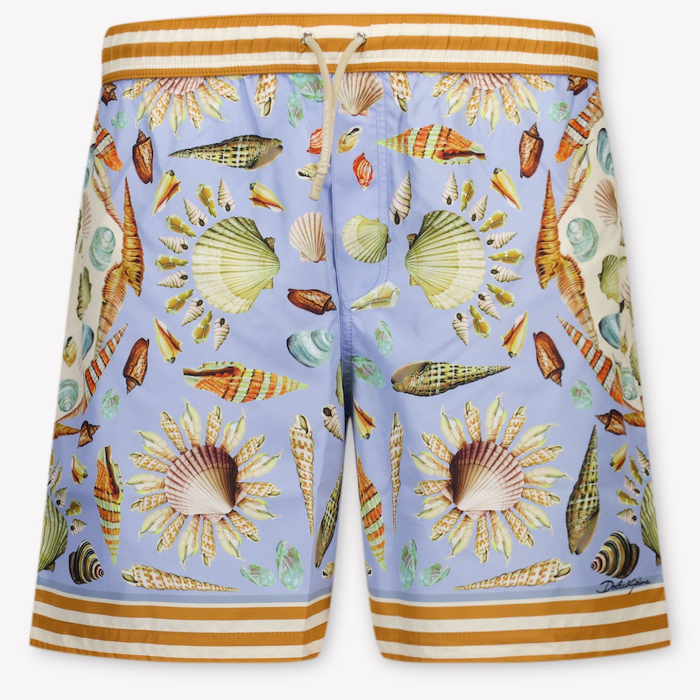 Dolce & Gabbana Kids Boys Swimwear  Light Blue