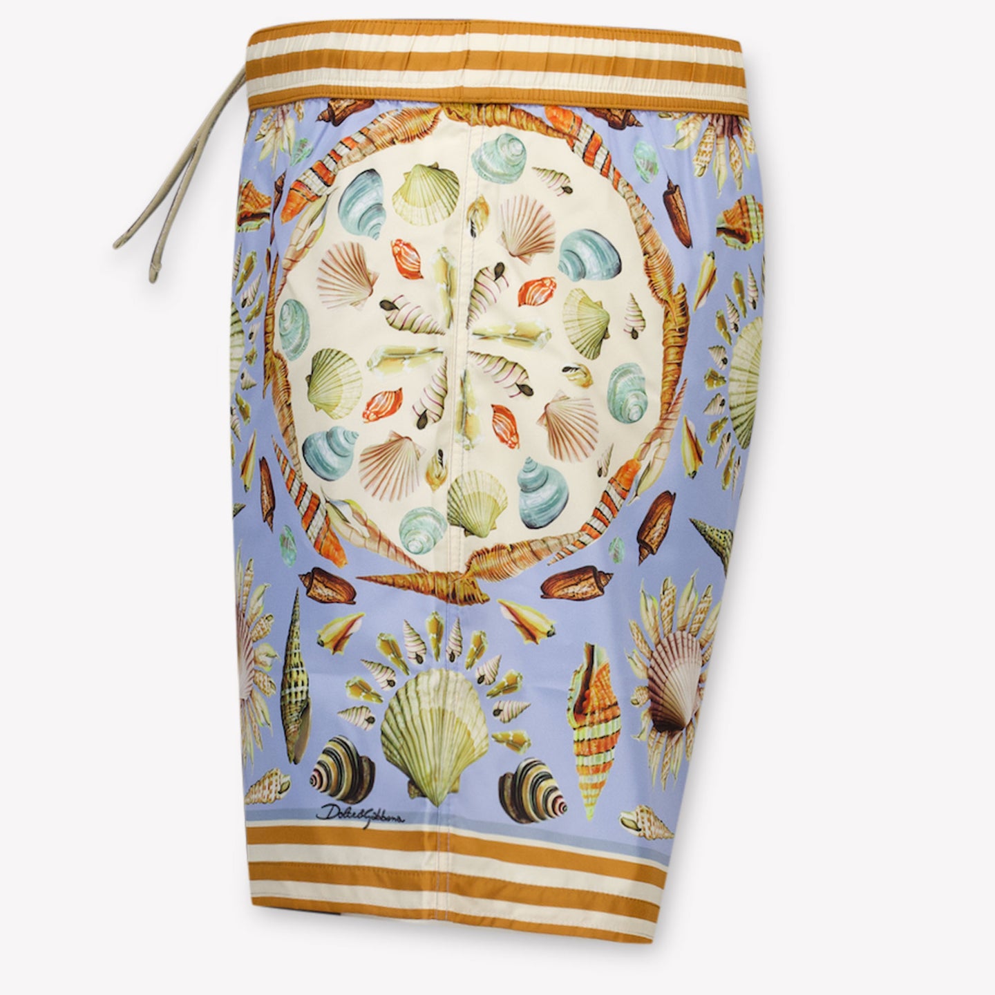 Dolce & Gabbana Kids Boys Swimwear  Light Blue