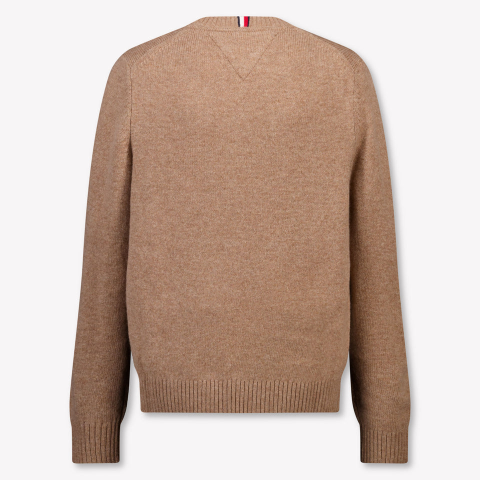 Tommy Hilfiger Kids Boys Sweater in Camel