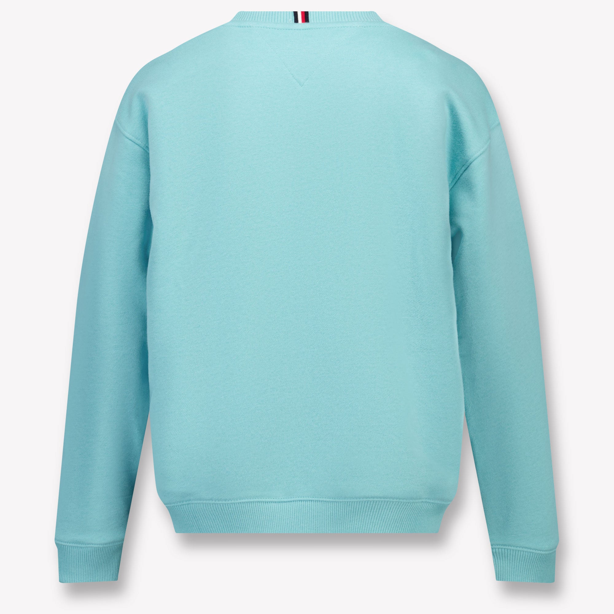 Tommy Hilfiger Kinder Unisex Trui In Turquoise