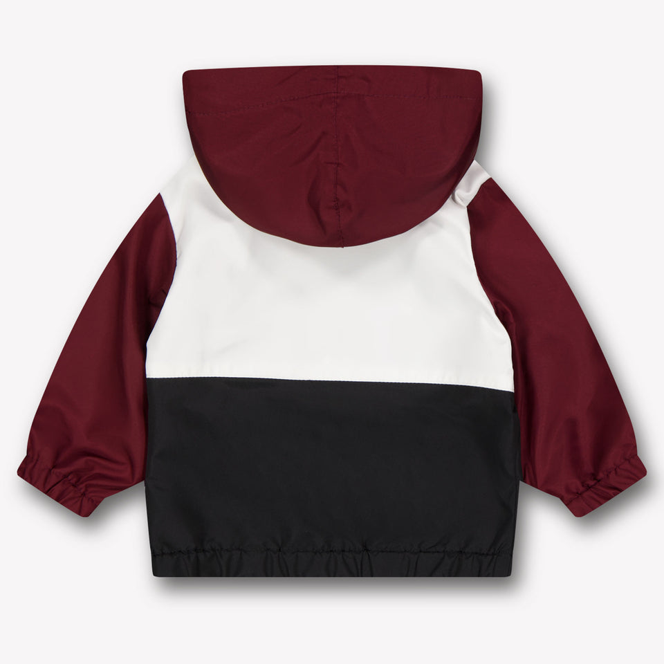 Dolce & Gabbana Baby Boys Summer jacket In Bordeaux