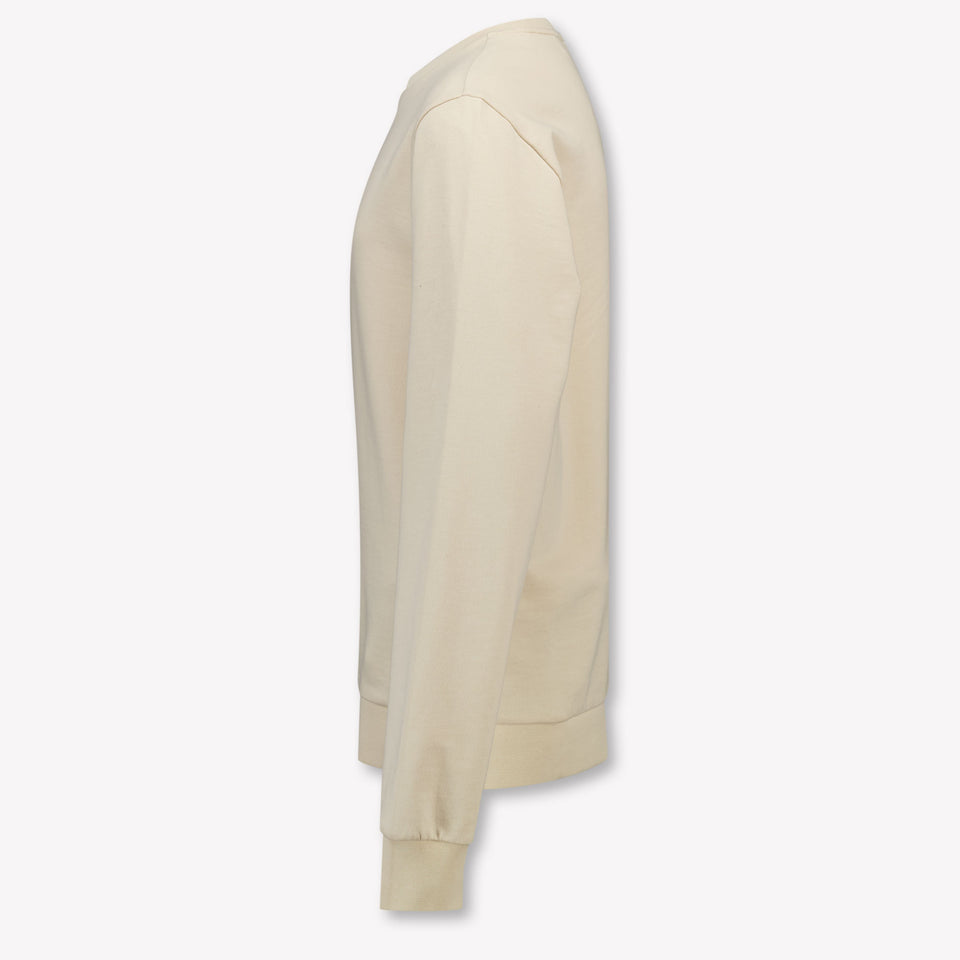 EA7 Kids Boys Sweater In Beige