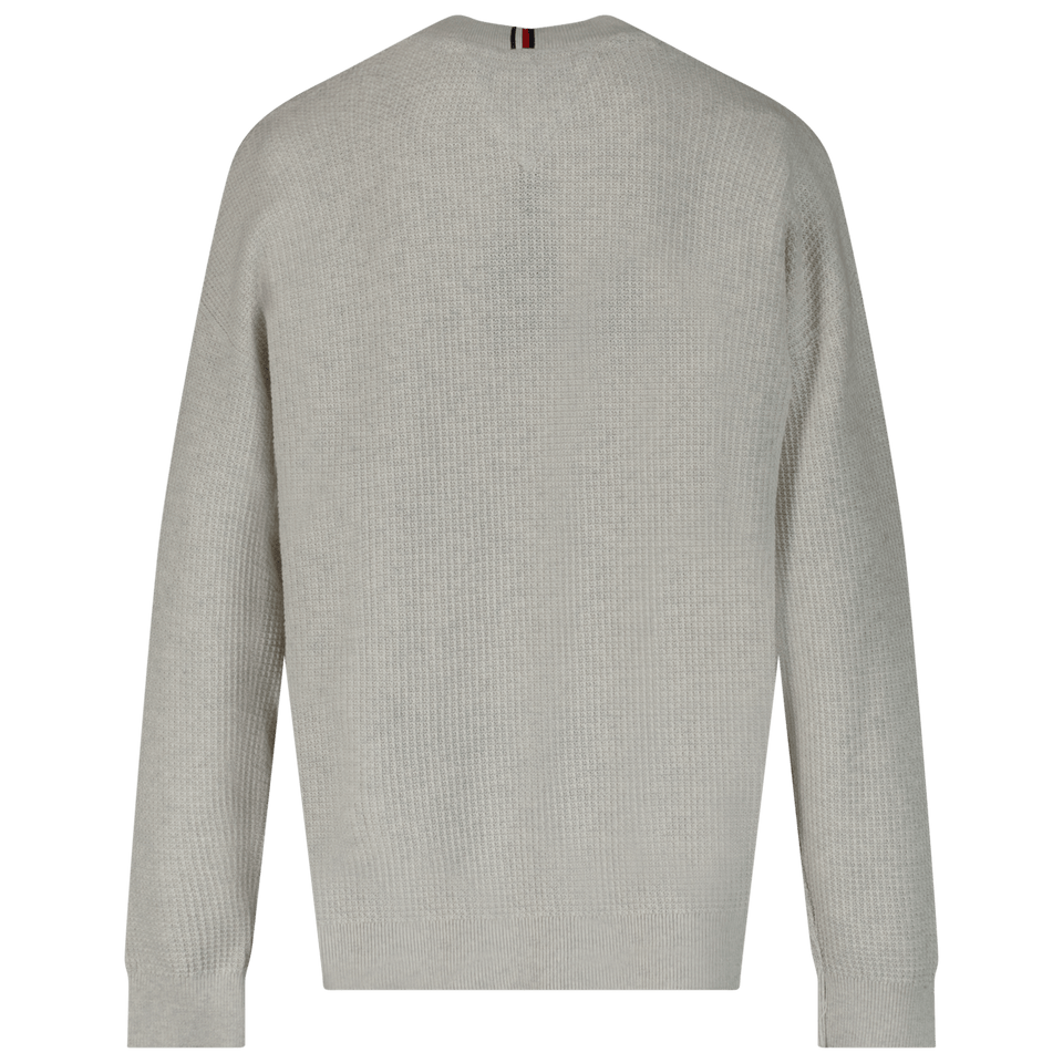 Tommy Hilfiger Kids Boys Sweater Grey