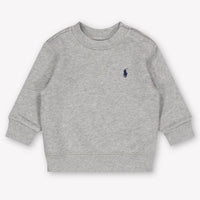 Ralph Lauren Baby Boys Sweater In Gray