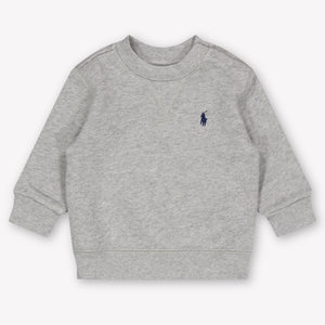 Ralph Lauren Baby Boys Sweater In Gray