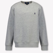 Ralph Lauren Kids Boys Sweater In Gray