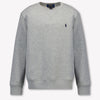 Ralph Lauren Kids Boys Sweater In Gray