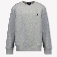 Ralph Lauren Kids Boys Sweater In Gray