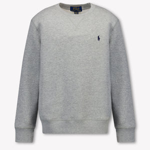 Ralph Lauren Kids Boys Sweater In Gray