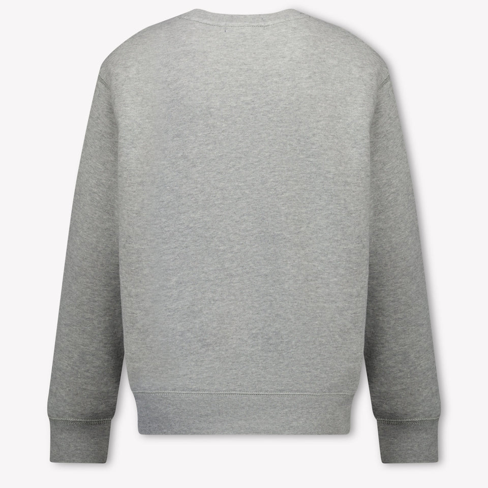 Ralph Lauren Kids Boys Sweater In Gray