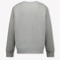 Ralph Lauren Kids Boys Sweater In Gray