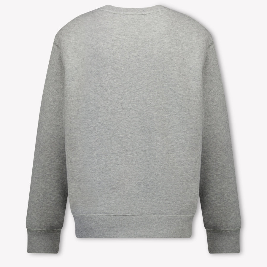Ralph Lauren Kids Boys Sweater In Gray