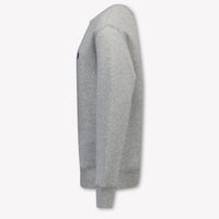 Ralph Lauren Kids Boys Sweater In Gray