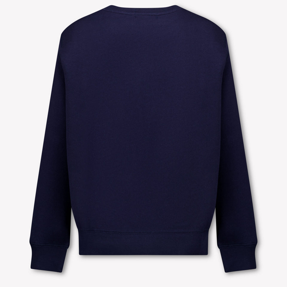 Ralph Lauren Kids Boys Sweater In Navy