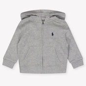 Ralph Lauren Baby Boys Cardigan In Gray
