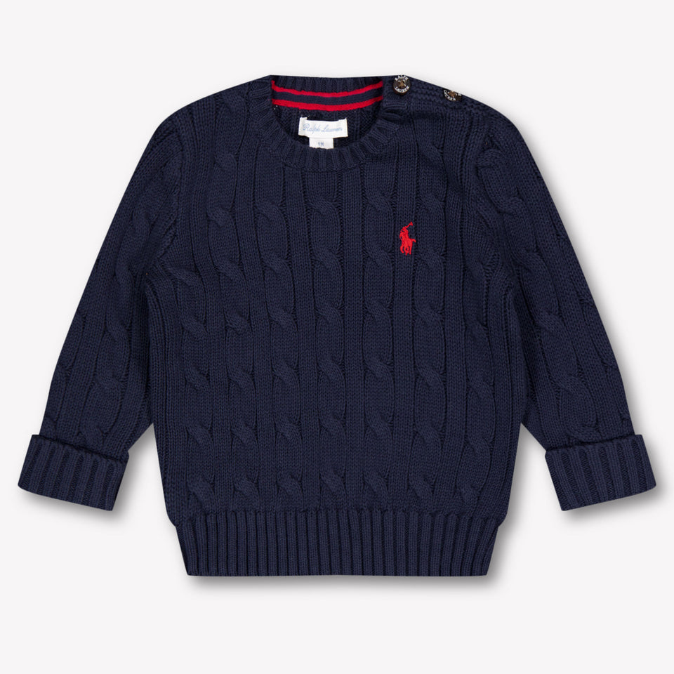Ralph Lauren Baby Boys Sweater In Navy