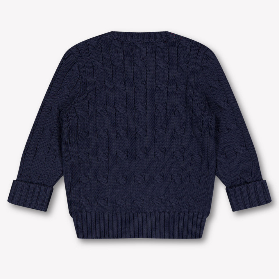 Ralph Lauren Baby Boys Sweater In Navy