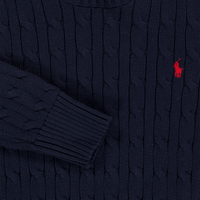 Ralph Lauren Kids Boys Sweater In Navy