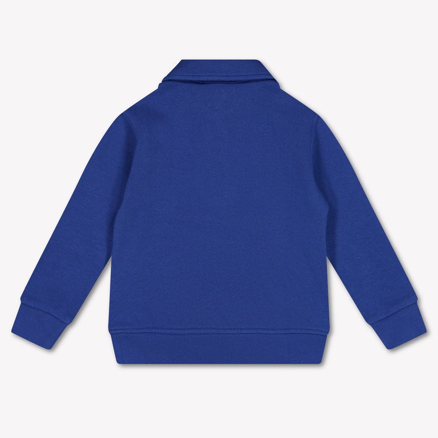 Ralph Lauren Kinder Jongens Trui In Blauw