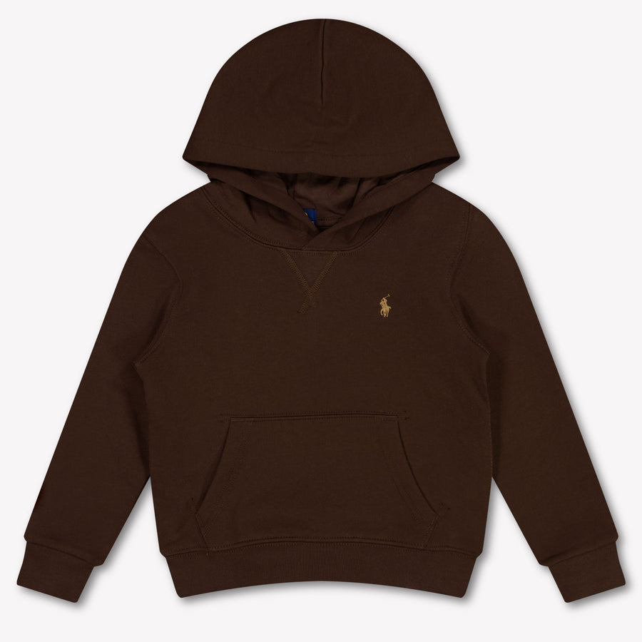 Ralph Lauren Kids Boys Sweater In Dark Brown