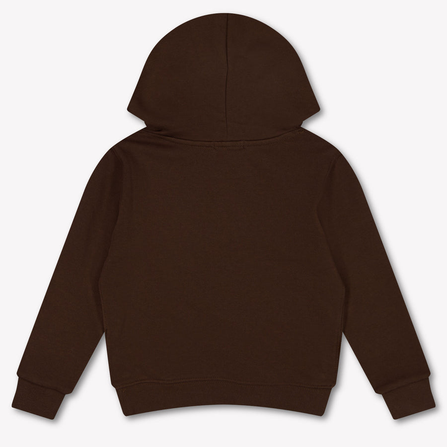 Ralph Lauren Kids Boys Sweater In Dark Brown
