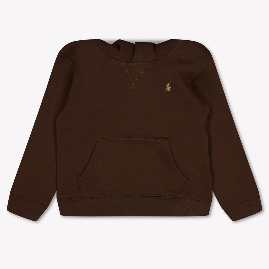 Ralph Lauren Boys Sweater in Dark Brown