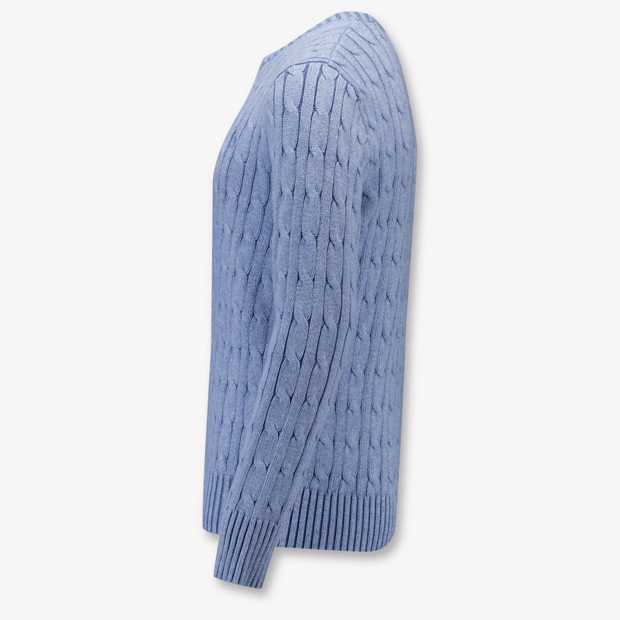 Ralph Lauren Kids Boys Sweater In Light Blue