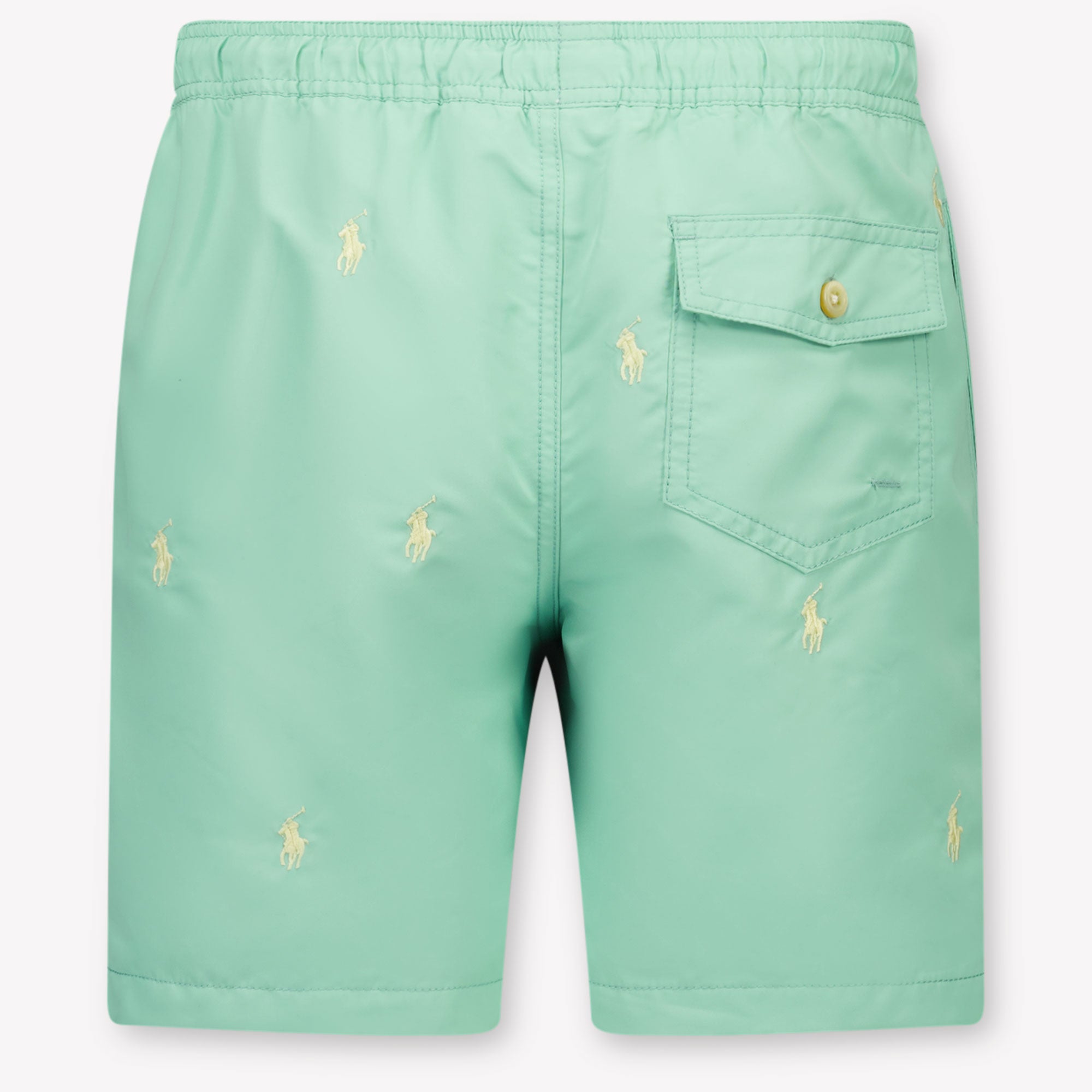 Ralph Lauren Kinder Jongens Zwemkleding In Licht Groen