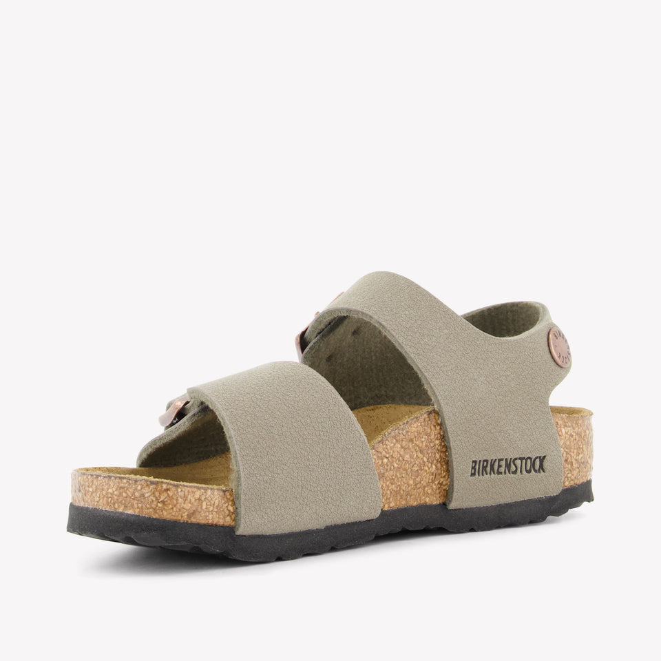 Birkenstock Unisex Slippers In Taupe