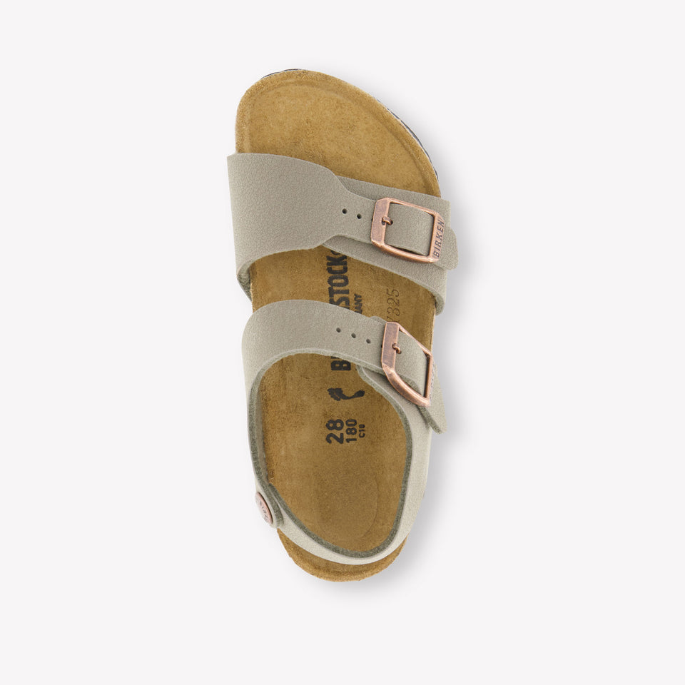 Birkenstock Unisex Slippers In Taupe