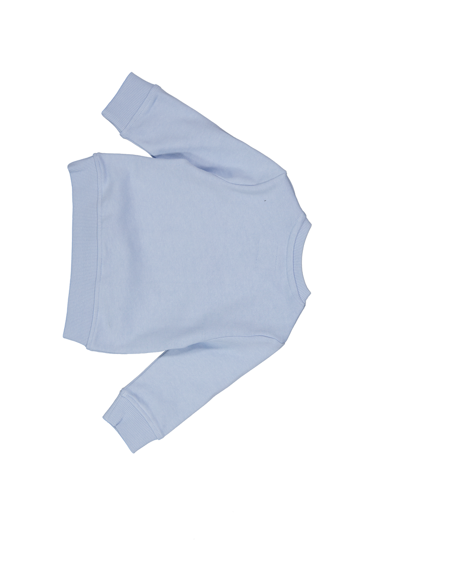 Guess Baby Boys Sweater In Light Blue