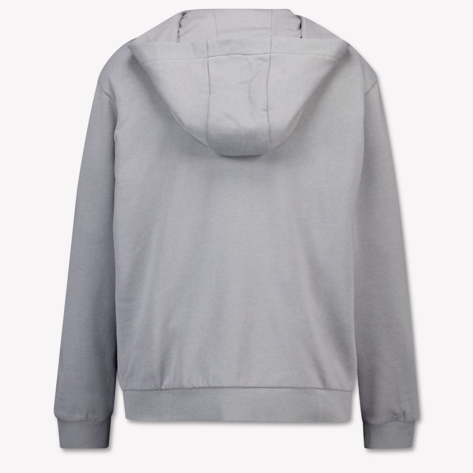 EA7 Kids Boys Cardigan In Gray