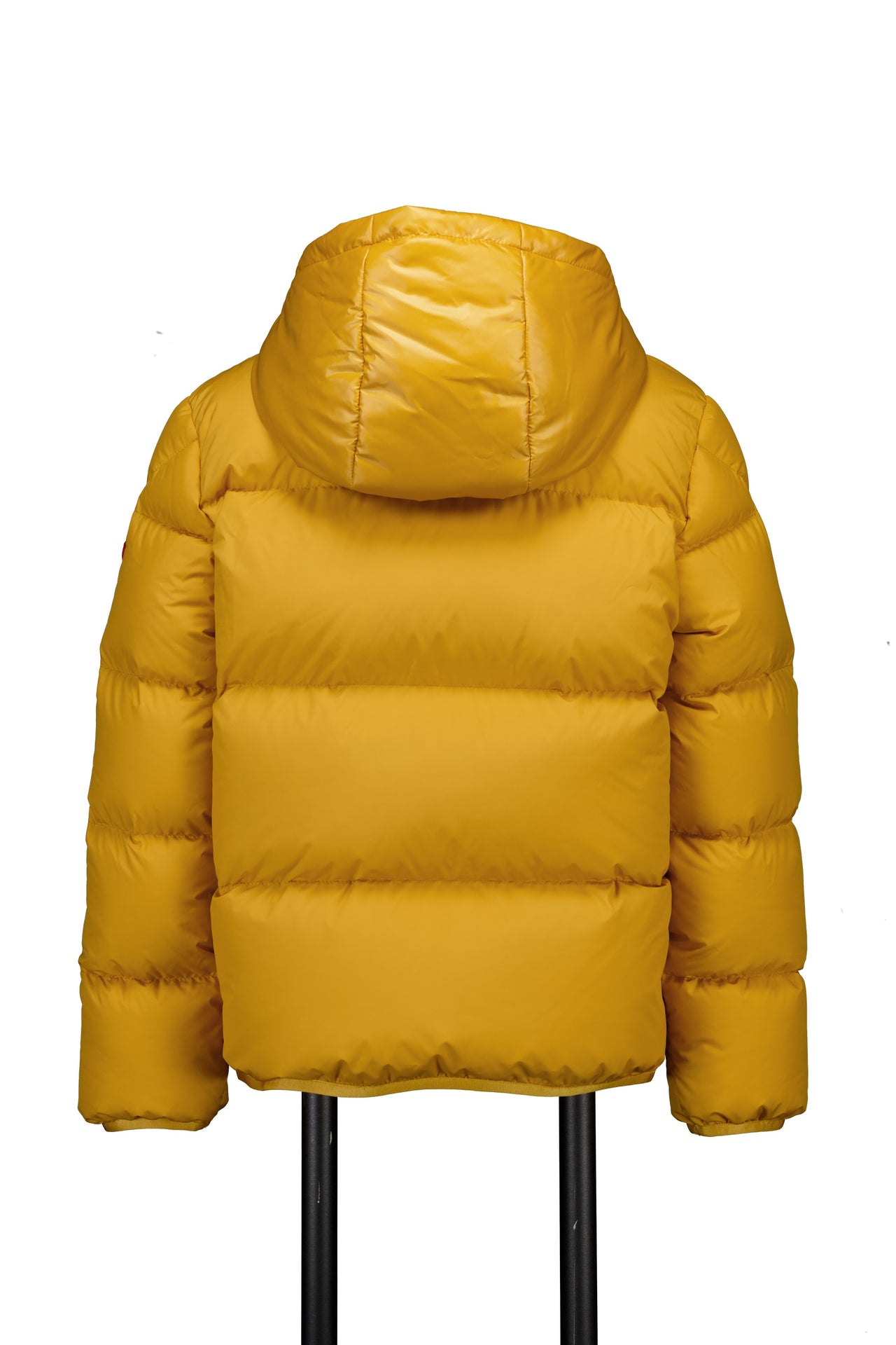 Moncler Barin Kids Boys Jackets In Yellow